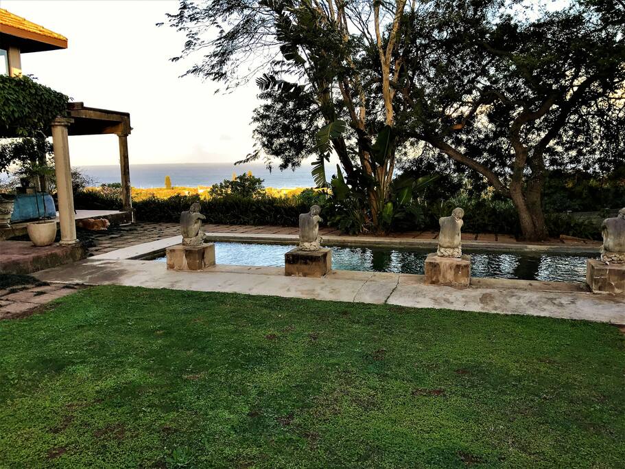 View from braai area