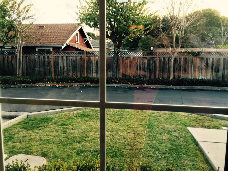 View from Living room