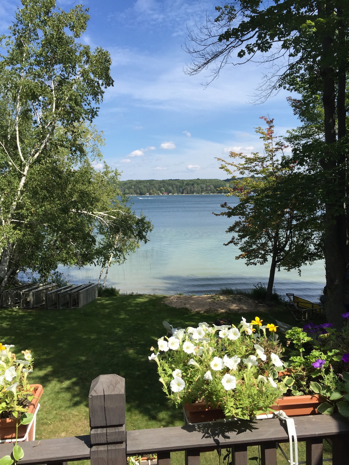 A serene lake view is framed by lush trees and a vibrant flowerpot filled with white petunias. The calm waters reflect a clear blue sky, while grassy areas lead towards the shoreline. The scene evokes a tranquil atmosphere, ideal for relaxation.