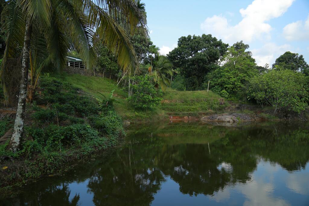 Man made lake in the cabana house