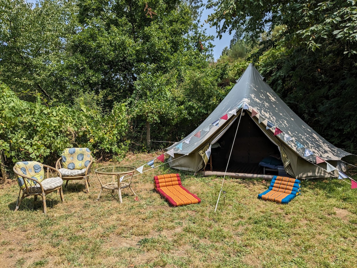 Camping tent rentals discount