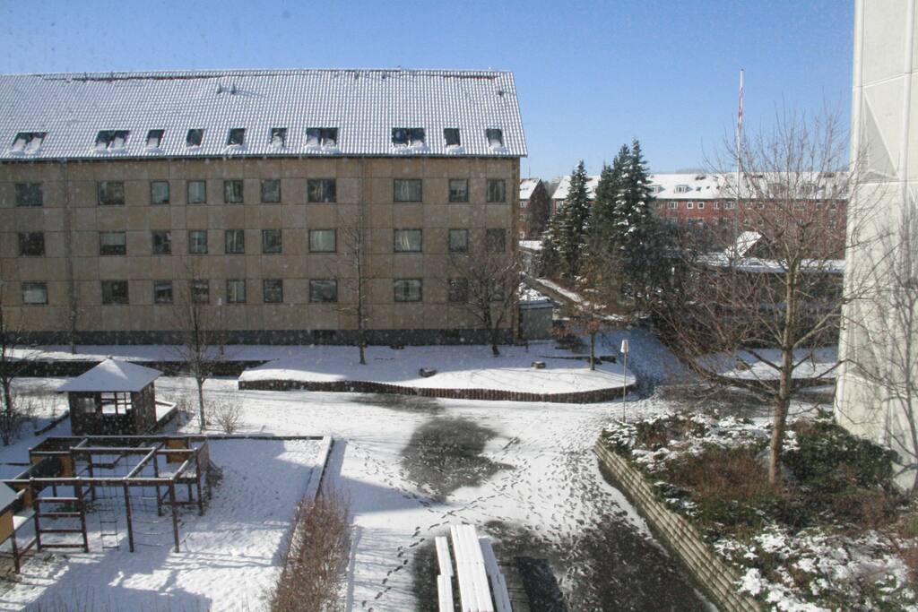 Window view