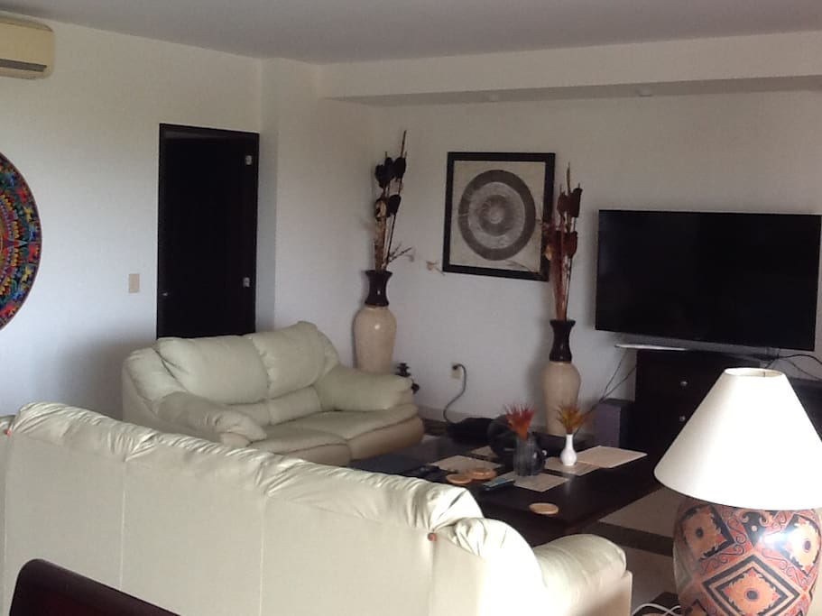 Living room area with 60 inch tv
