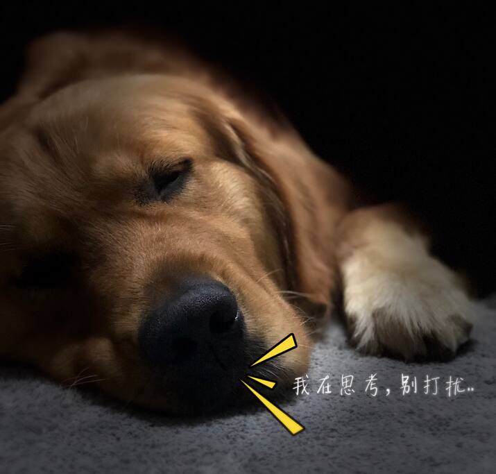 黄先生等你来撩
