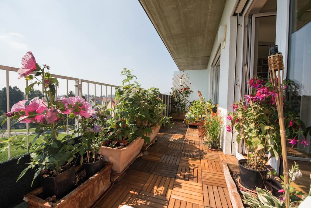 Balcony