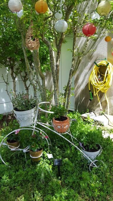 Un jardin qui amusera les grands et les petits. Pourquoi pas en profiter pour s'initier au jardinage ? Menthe et thym pour assaisonner vos plats.