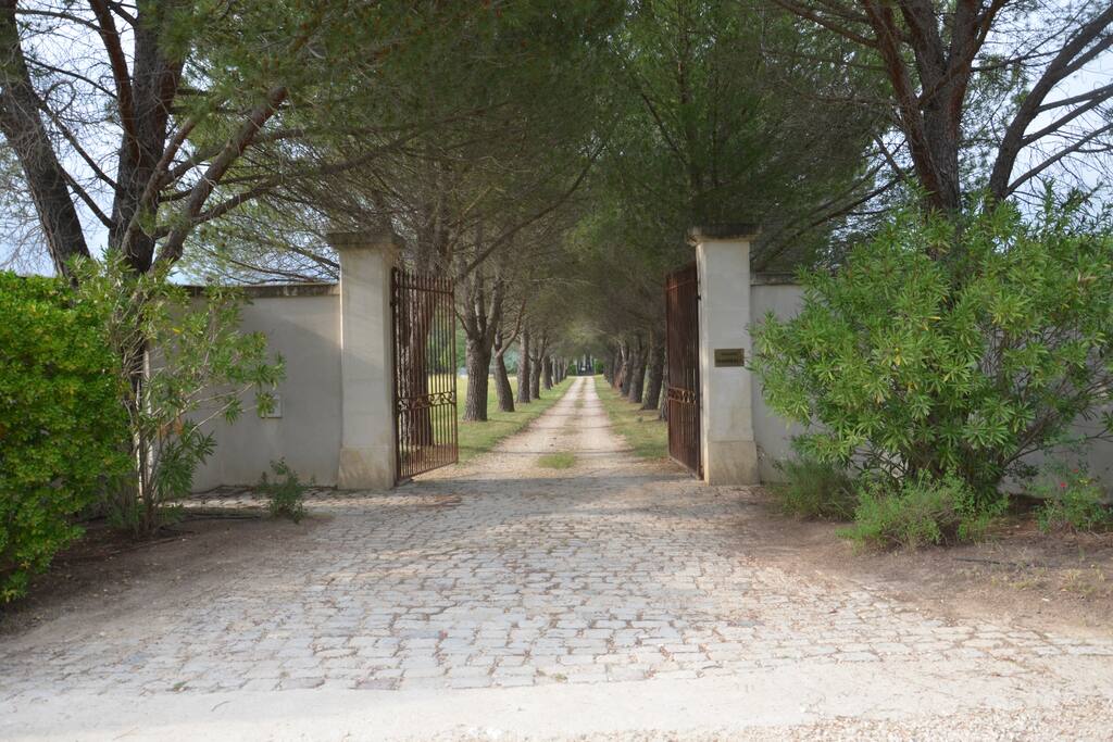 Domaine Shambala