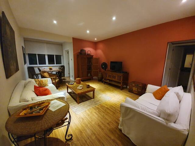 Great apartment in Ipanema.