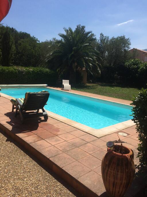 beautiful pool in private garden