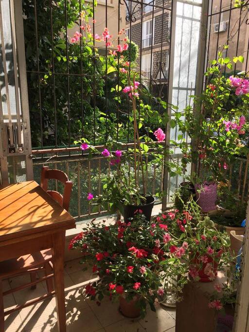 terrace
