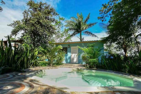 House under palm trees with pool and parking space