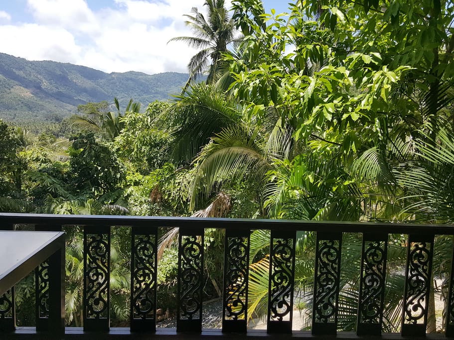 View from terrace