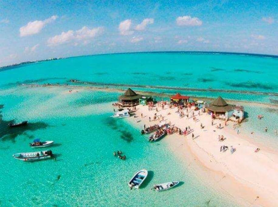 El Acuario!