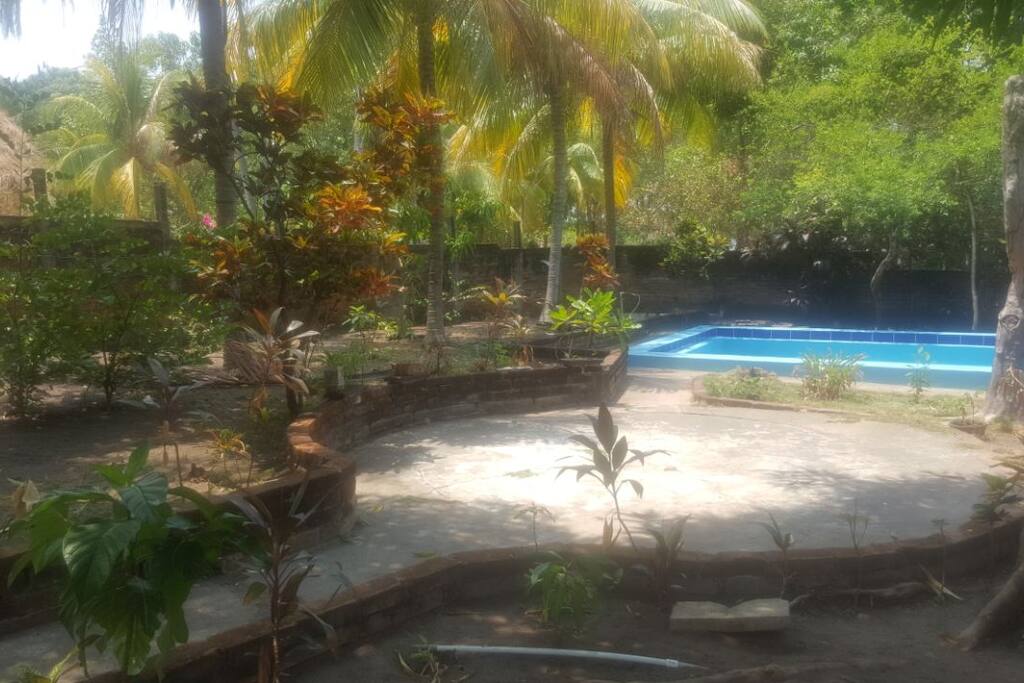Gardin y piscina / Pool and garden view.