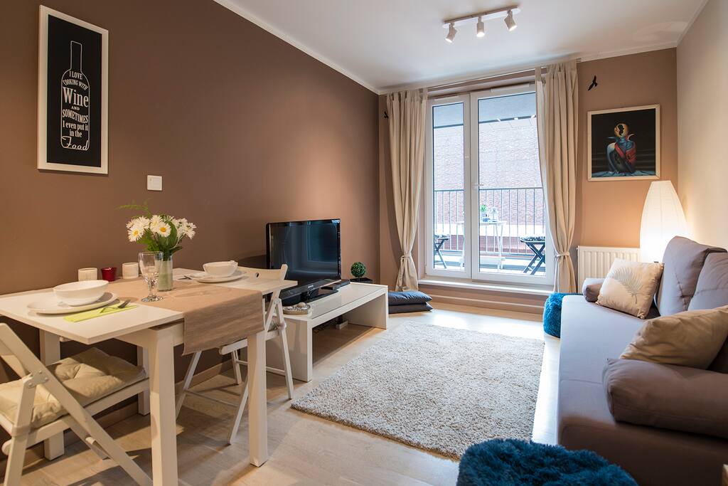 living room with kitchen and sofa bed for two people. Balcony with view on the river
