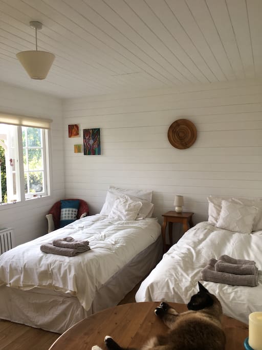 Twin beds