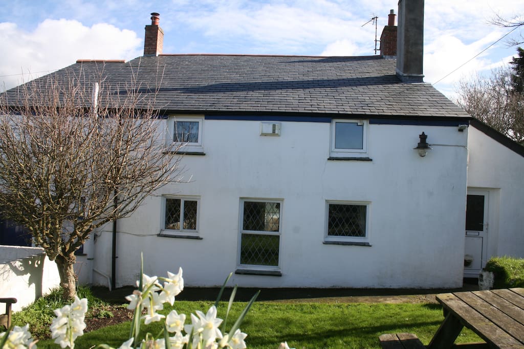 Back garden