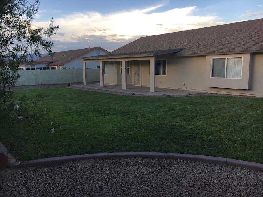 Back yard