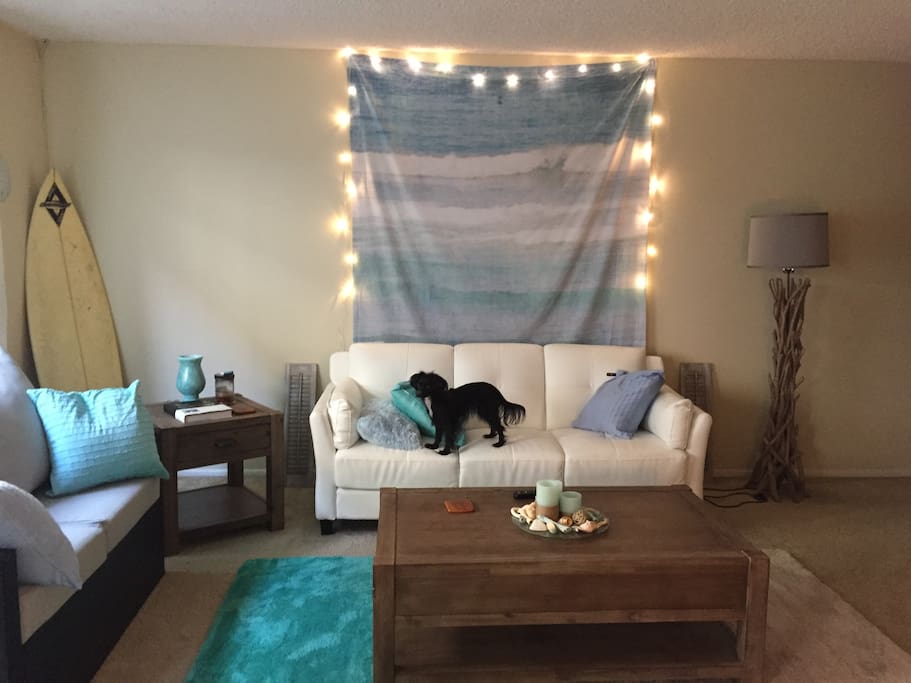 Doggy not included - sorry! :)
