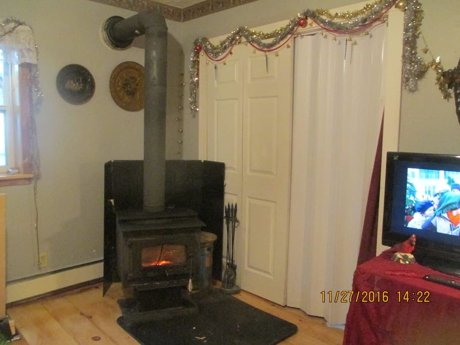 working fire place style wood stove for relaxing, cosy visits