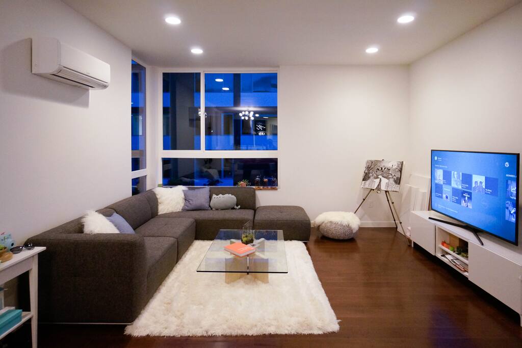 Spacious modern couch with smart TV