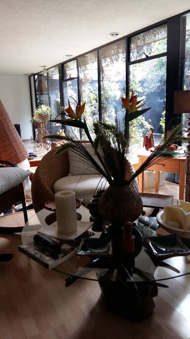 Ventanal con vista al jardin