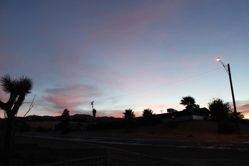 beautiful Joshua Tree sunset