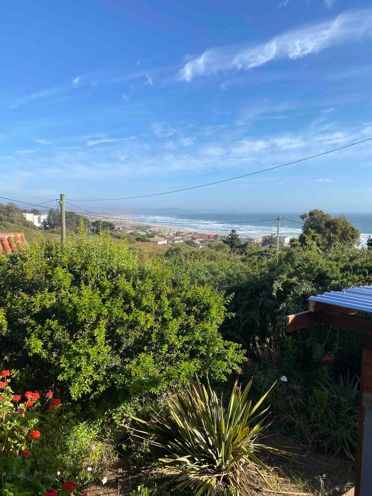 A scenic view showcases lush greenery in the foreground, with colorful flowers adding vibrancy. In the distance, the coastline is visible under a clear blue sky, revealing the ocean’s gentle waves and the horizon blending into the sea.