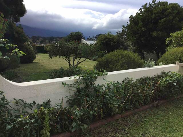 Nova Constantia gem , surounded by wine estates. gallery image 2