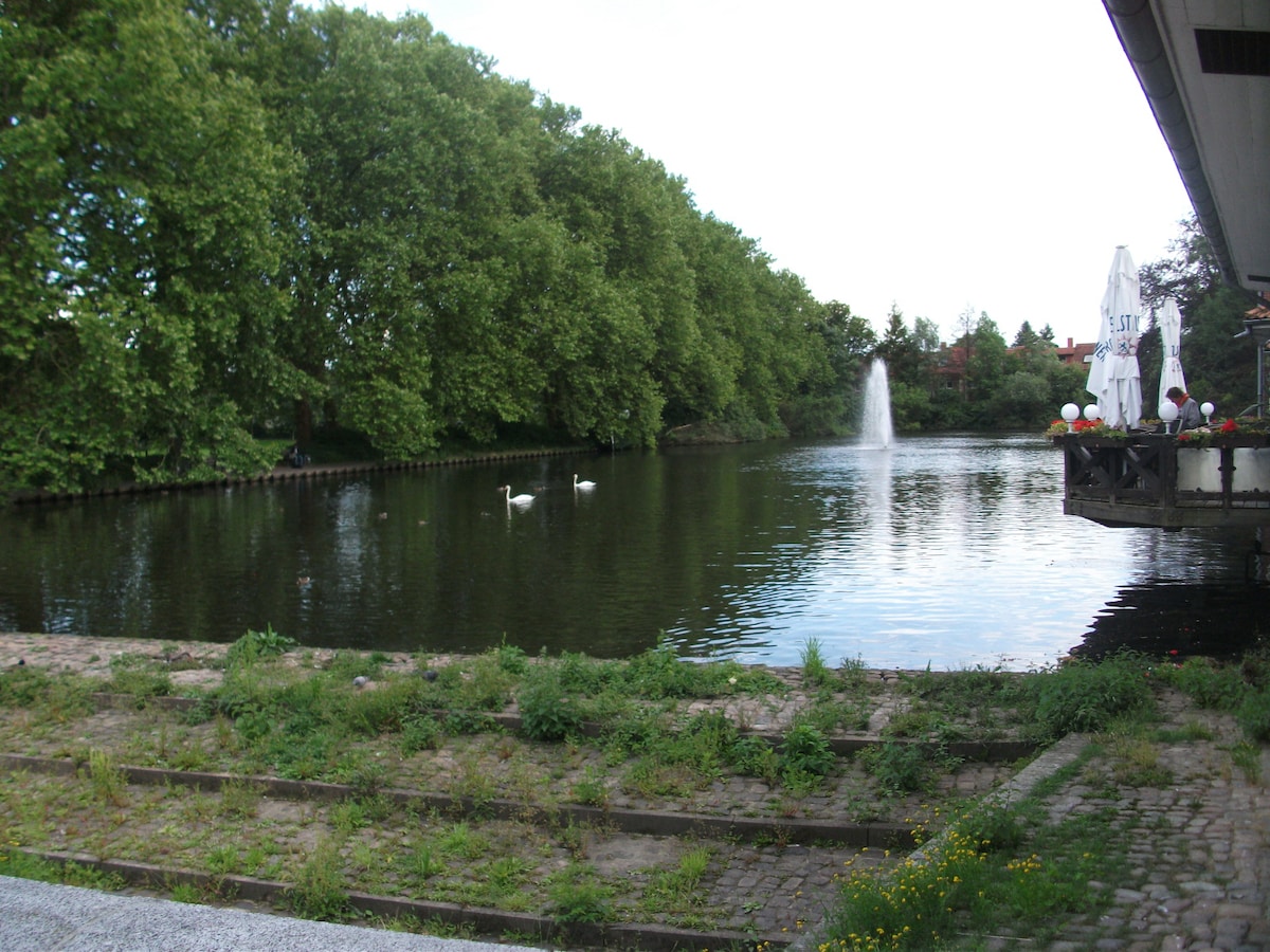 A serene waterway is bordered by lush trees and greenery, with a gentle fountain creating ripples in the foreground. Two swans glide gracefully across the surface, while a terrace with an umbrella can be seen on the right.