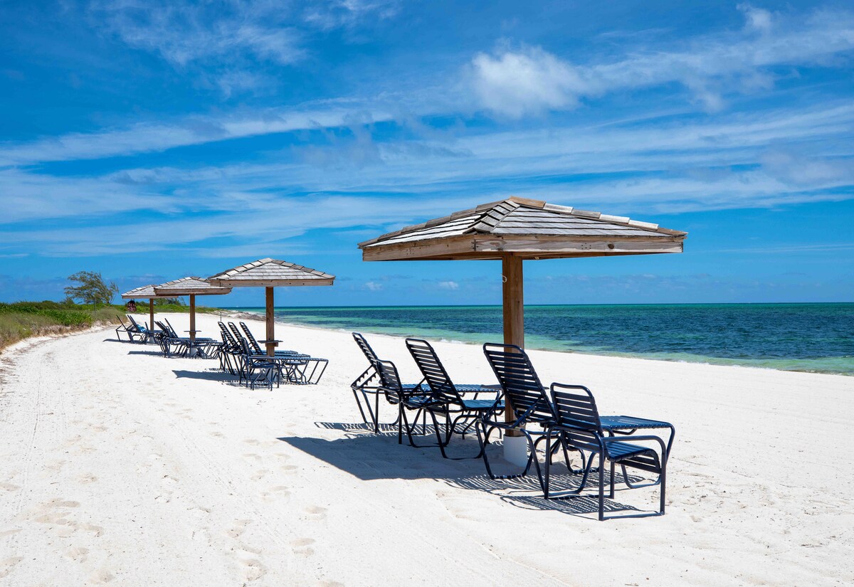 A stretch of sandy beach is lined with shaded tiki huts and lounge chairs, offering a serene environment. Clear blue waters gently meet the shoreline under a bright sky, inviting relaxation and enjoyment of the coastal scenery.