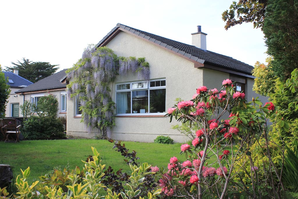 House with Wysteria in full bloom