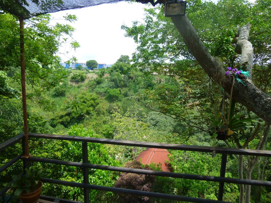 Maravillosas vistas