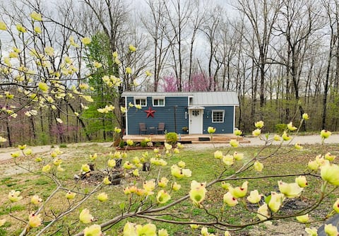 Cozy Tiny House in Quiet Neighborhood