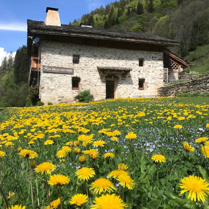 Chalet Belle des prés au coeur d'une nature sauvage et généreuse