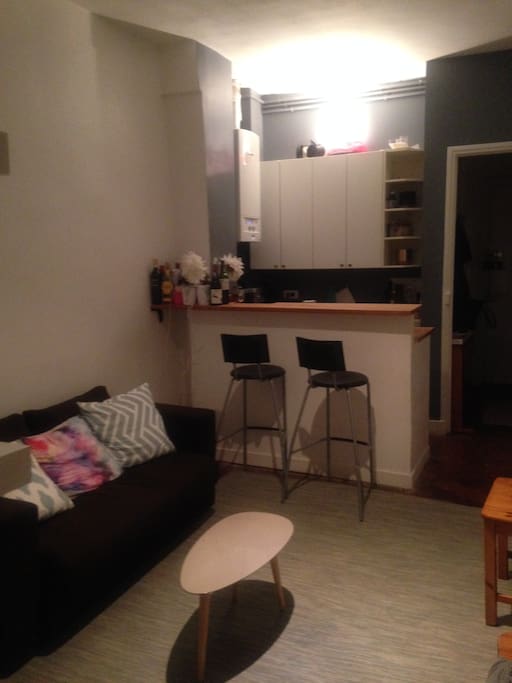 Living Room and Open Kitchen
