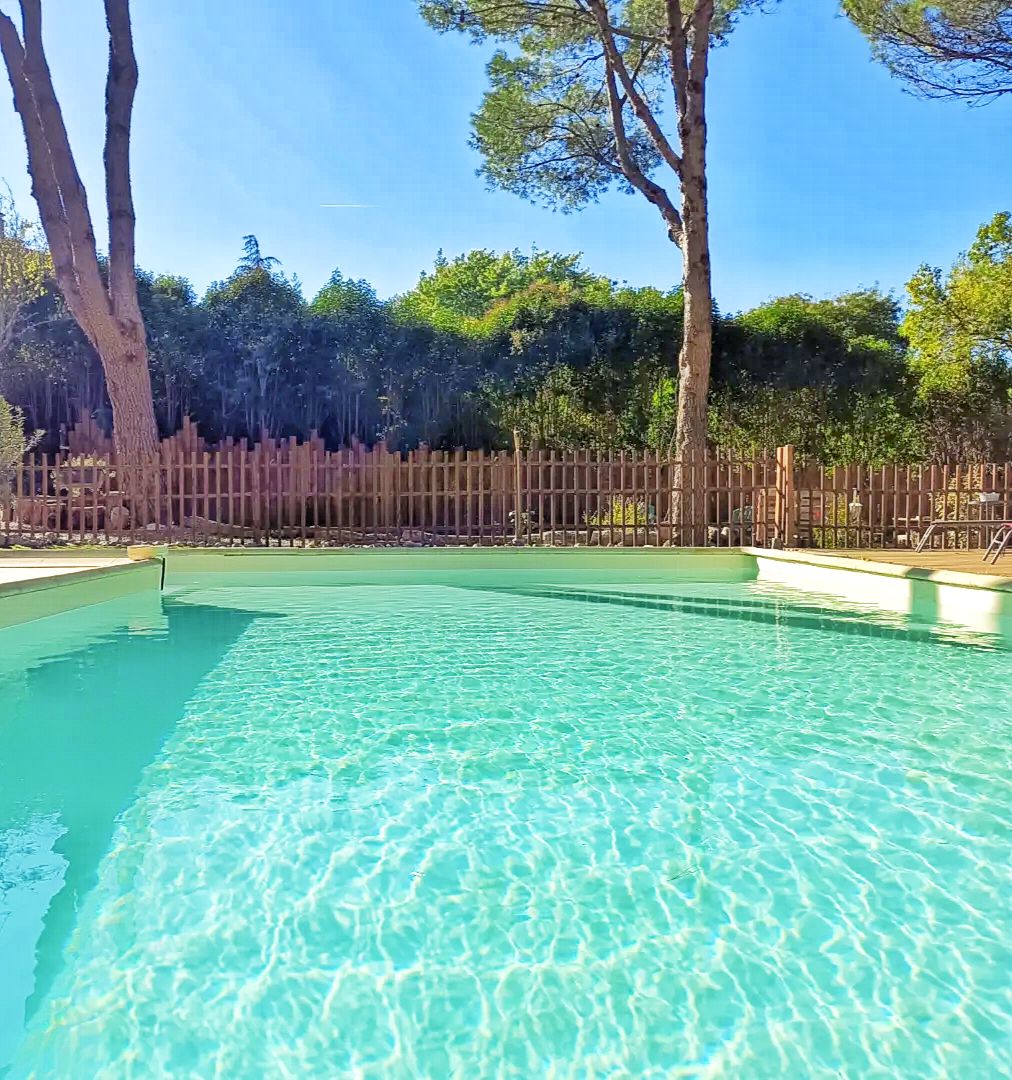 The inviting pool features clear water reflecting the blue sky, surrounded by tall trees and lush greenery. A wooden fence encloses the area, providing privacy and a serene atmosphere for relaxation.
