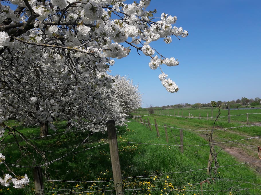 de luwe rust van de Betuwe om de hoek