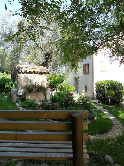 Giardino. - Garden.