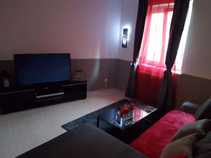 Appartement F2 Très Confortable Au Centre Ville - Lingolsheim