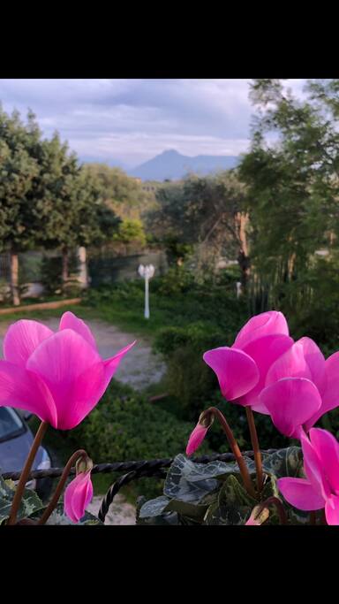 Veduta dal Balcone Stanza Rosa