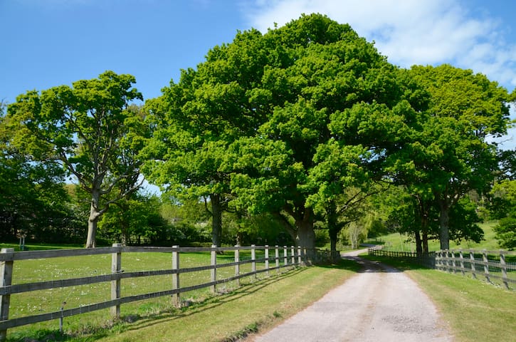 Rushcroft Lodge Sway New Forest Sleeps 2 Farm Stays For Rent In Sway England United Kingdom