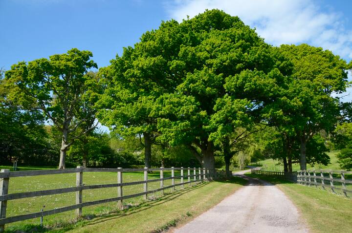 Rushcroft Lodge The Beautiful New Forest Sleeps 2 Farm Stays For Rent In Sway England United Kingdom