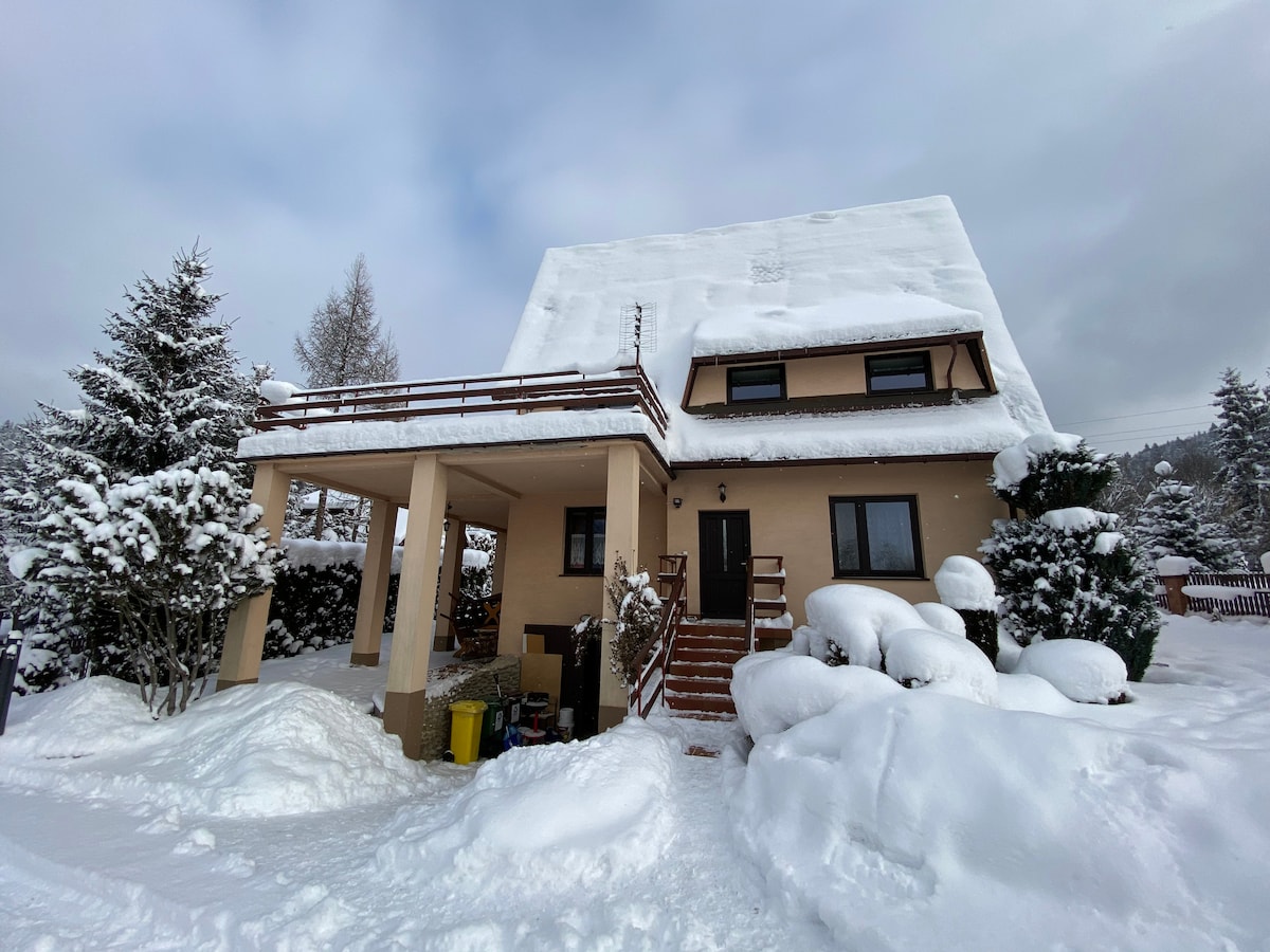 The house is situated under a thick blanket of snow, with a snow-covered roof and surrounding landscape. The facade features a covered porch leading to the main entrance. Snow-laden trees frame the property, while the pathway is partially obscured by the snow.
