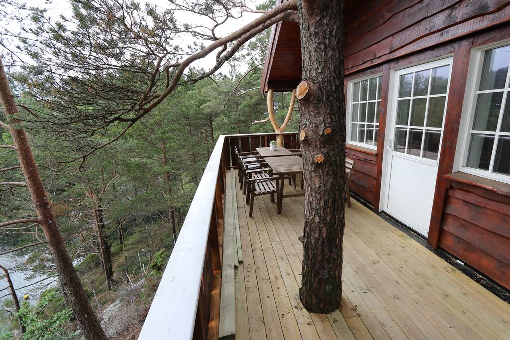 Terrasse mot vest. Kveldssol.