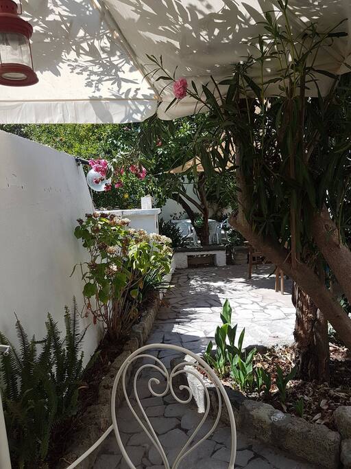 giardino