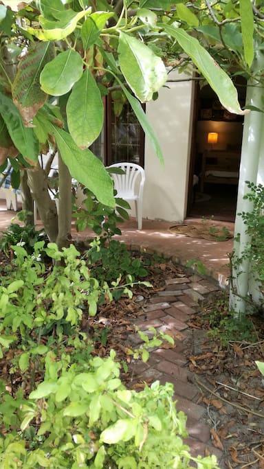 Red-brick Path to Front Door