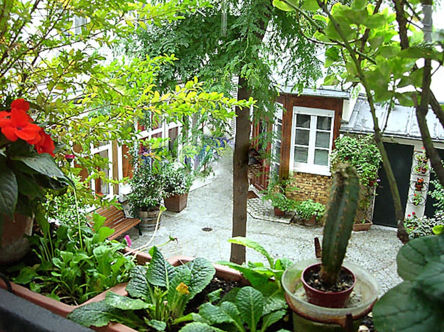 This is the pretty courtyard.