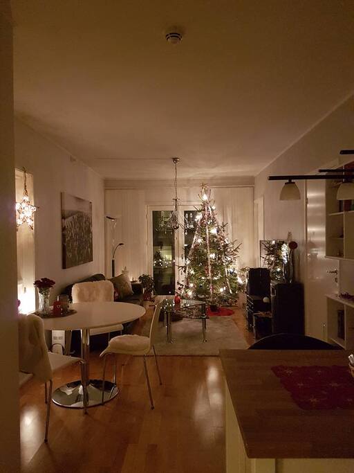 Stue, spiseplass/ livingroom, diningroom