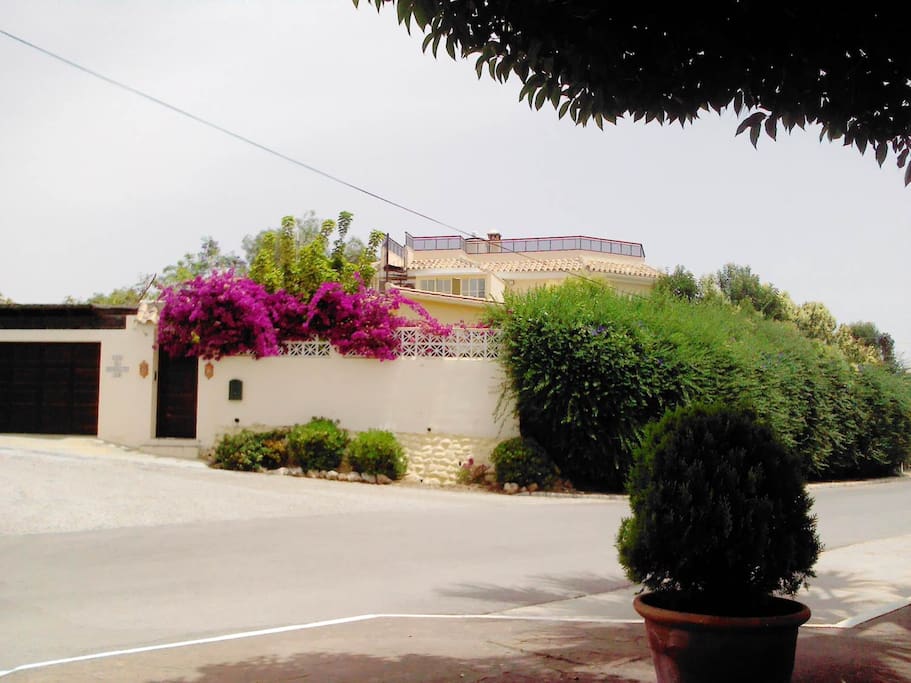 Street view